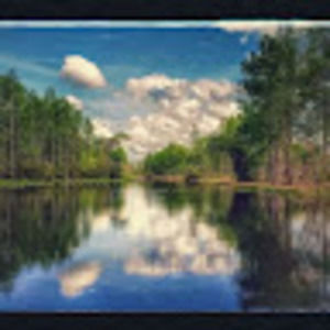 Meet your Posher, Alison